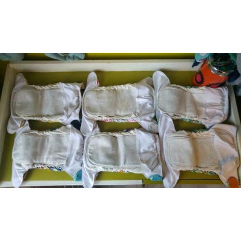 4x totsbots easyfit star