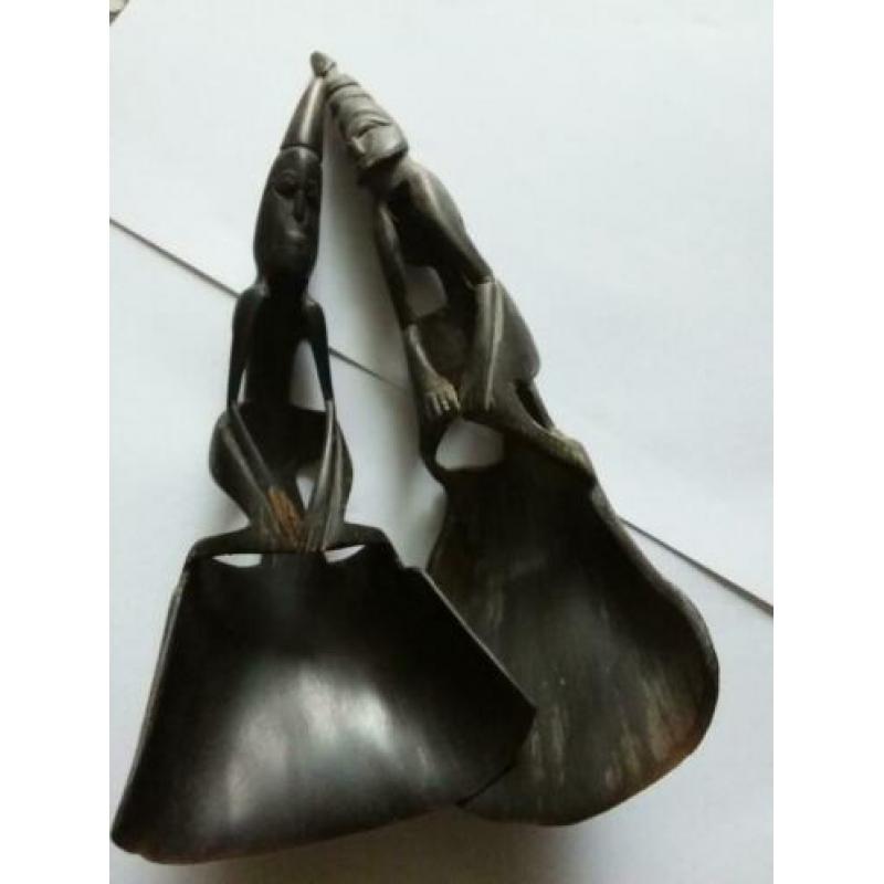 Hoorn lepels hoorns 2 x taxidermy