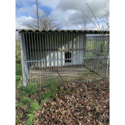 te koop hondenkennel
