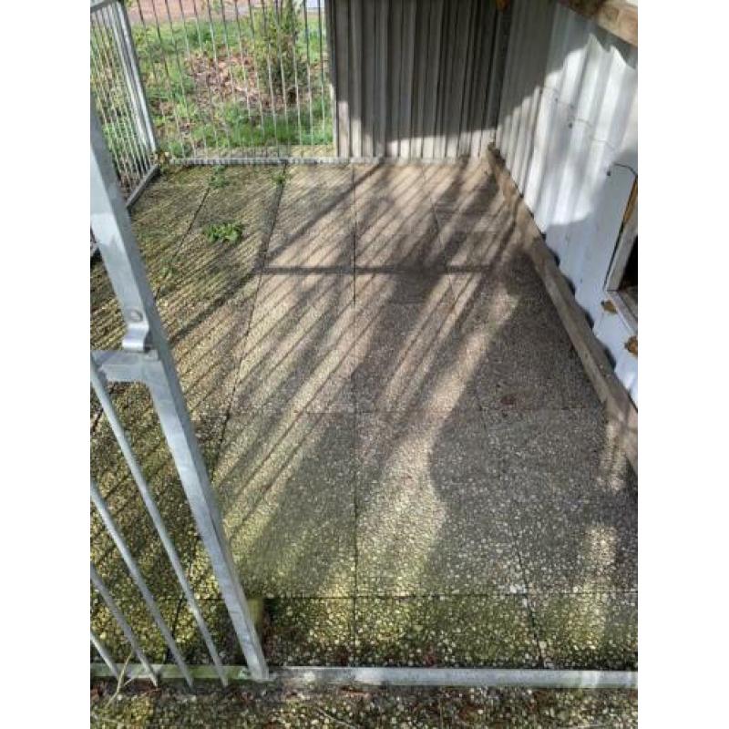 te koop hondenkennel