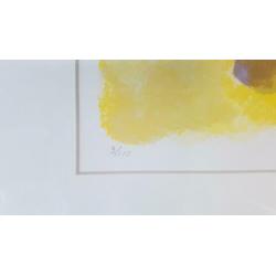 Handgesigneerde originele litho van H. van Vessum