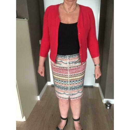 Rok (maat L) met vest (maat XL)