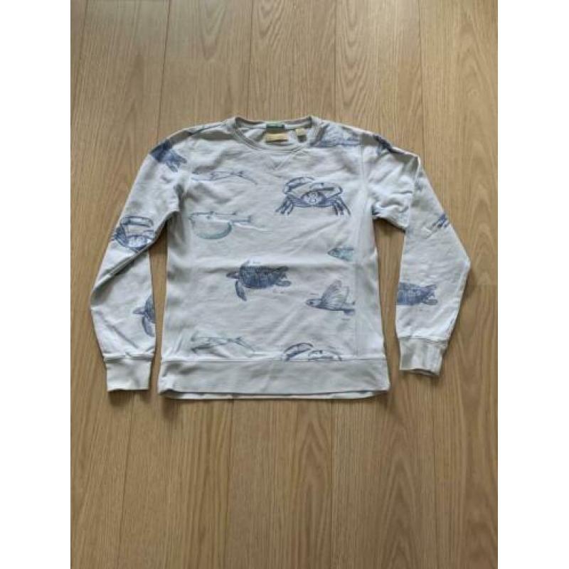 Scotch & Soda Shrunk vissen crewneck maat 152