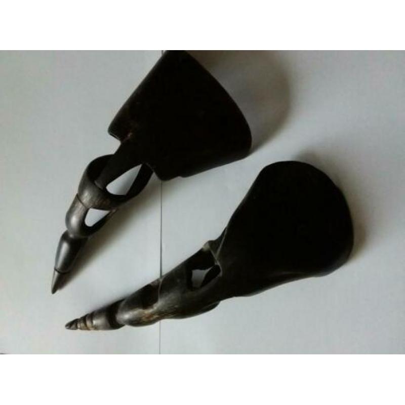 Hoorn lepels hoorns 2 x taxidermy