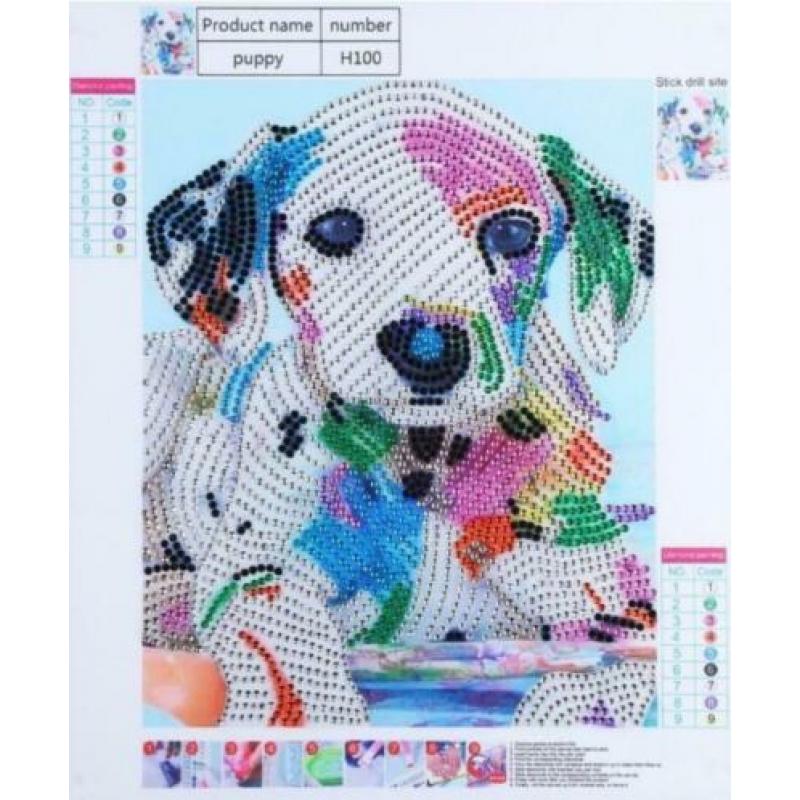 Diamond painting strass/ pebbles steentjes en speciale vorm