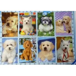 Honden Puppies 1500 stukjes, Ravensburger - nieuw