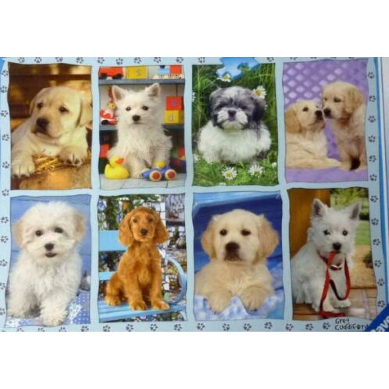 Honden Puppies 1500 stukjes, Ravensburger - nieuw