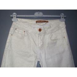 Maat 40 - daisy collection - cremekleur glimmende