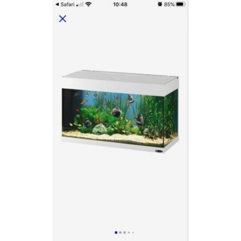 Ferplast Dubai 80 wit + JBL CristalProfi e701