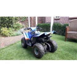 Kinderquad 50cc