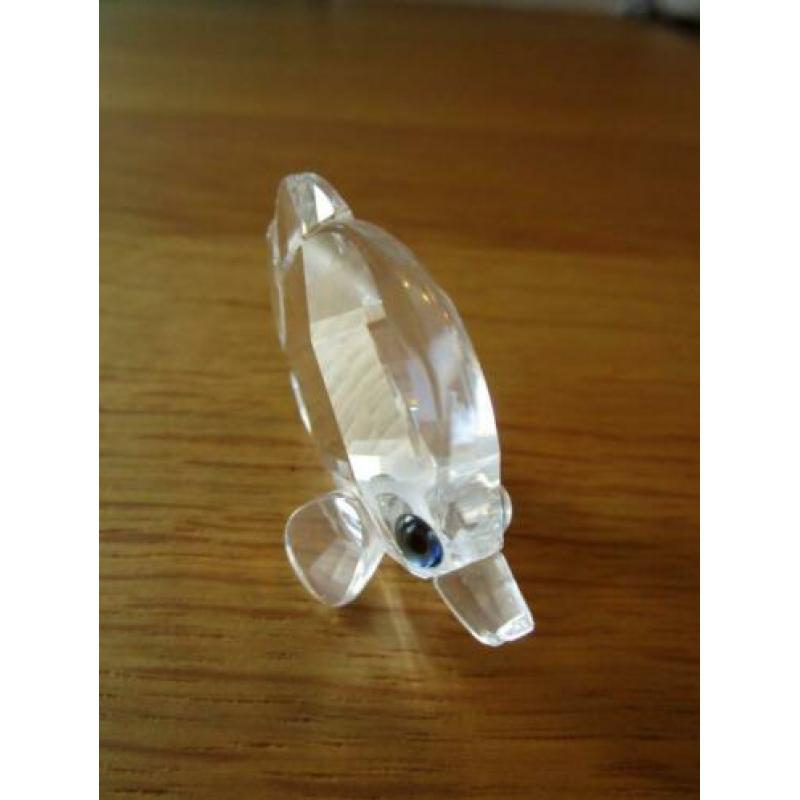 Te koop van Swarovski de Vlindervis