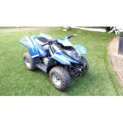 Kinderquad 50cc
