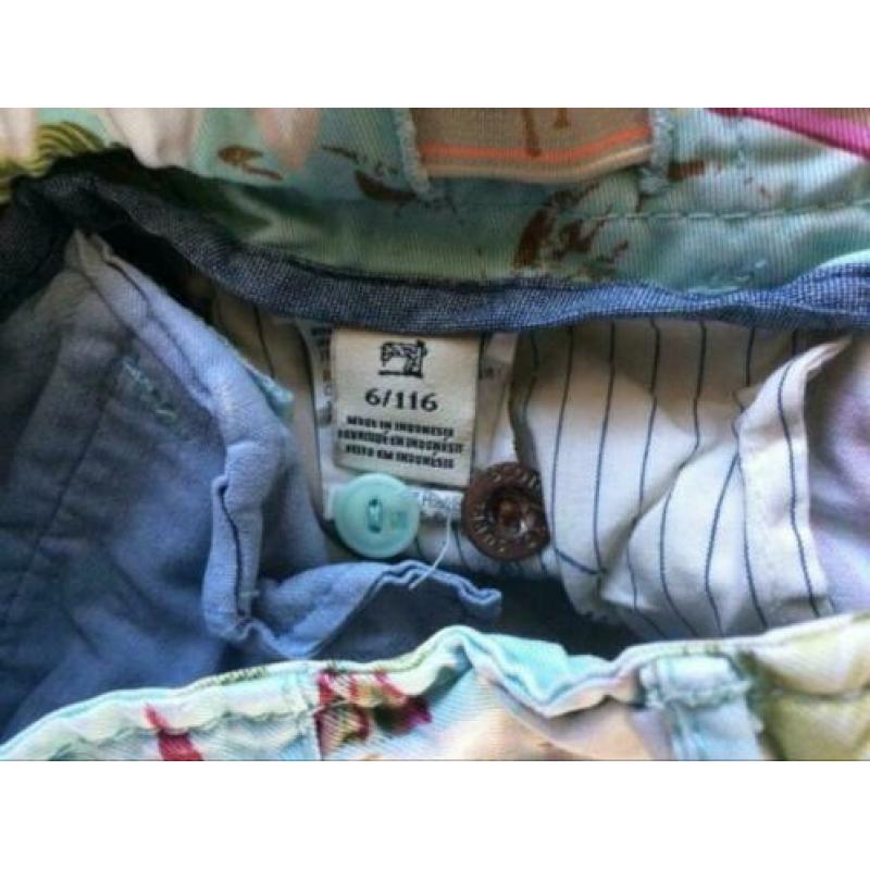 Short Scotch Shrunk mt 116 zgan
