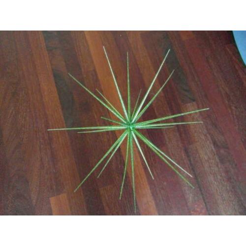 groene stekel ster kerstdecoratie