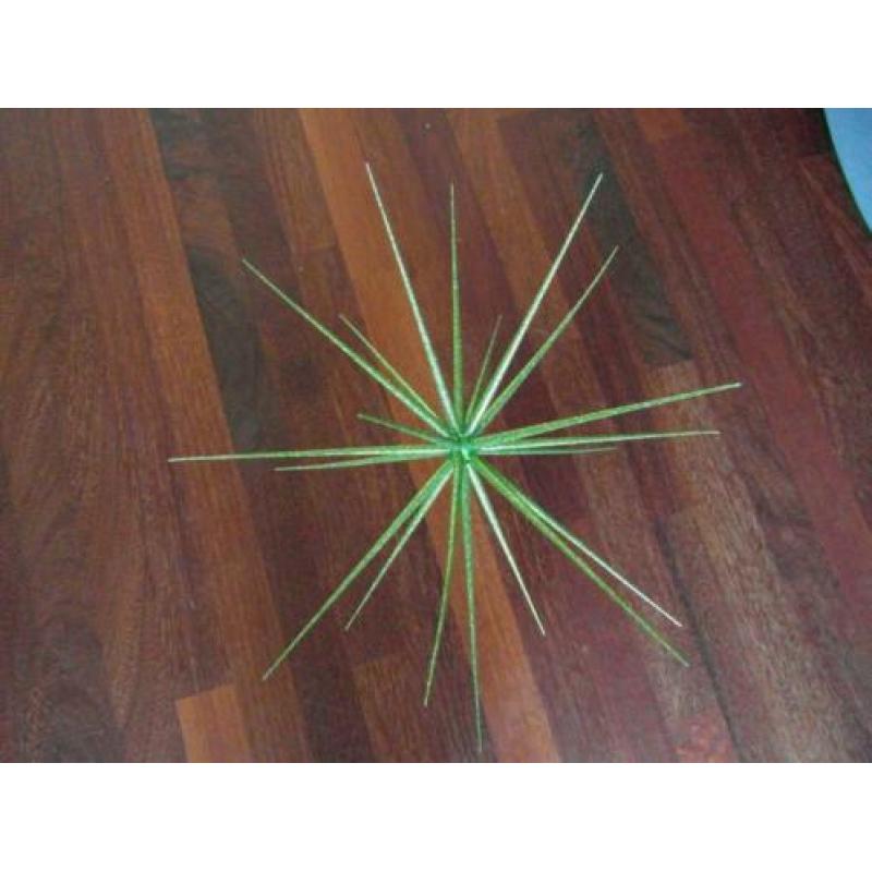 groene stekel ster kerstdecoratie