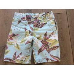 Short Scotch Shrunk mt 116 zgan