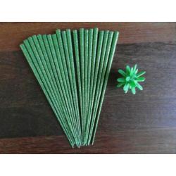 groene stekel ster kerstdecoratie