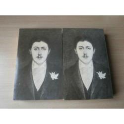 Proust - De kant van Guermantes 1 & 2