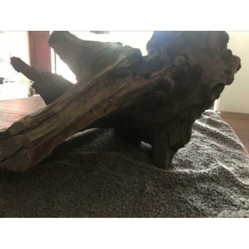 Mooi stuk kienhout te koop!!