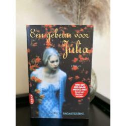 Een geheim voor julia patricia sagastizabal