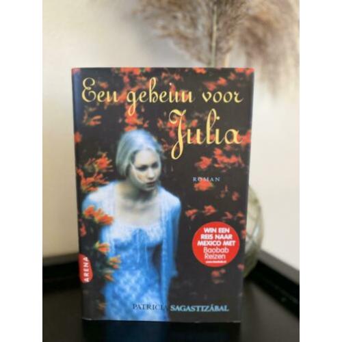 Een geheim voor julia patricia sagastizabal