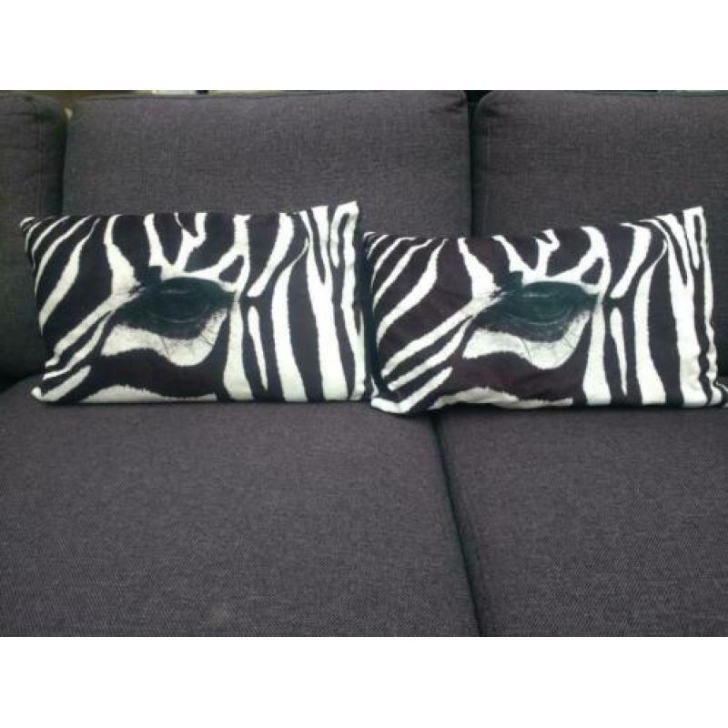 Zebra hoofd/kop op standaard! Leuke woonaccessoire zwart/wit