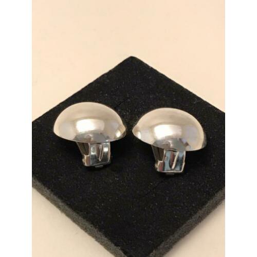 Kleine zilveren clips