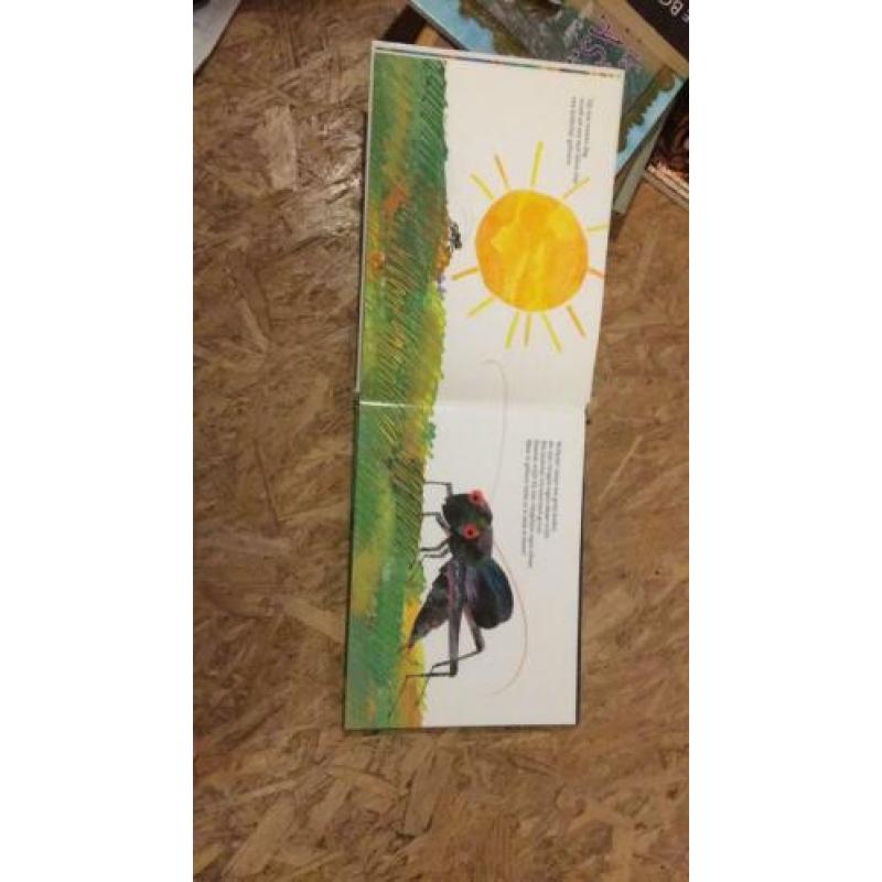 De krekel die niet tsjirpen kon Eric Carle