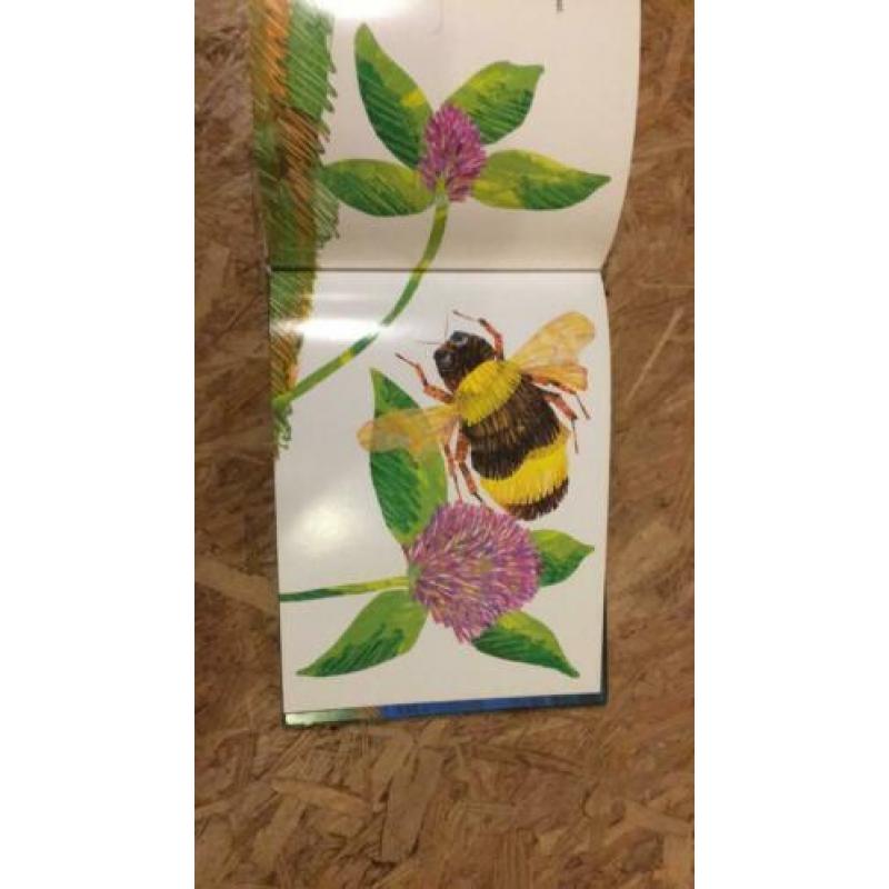 De krekel die niet tsjirpen kon Eric Carle