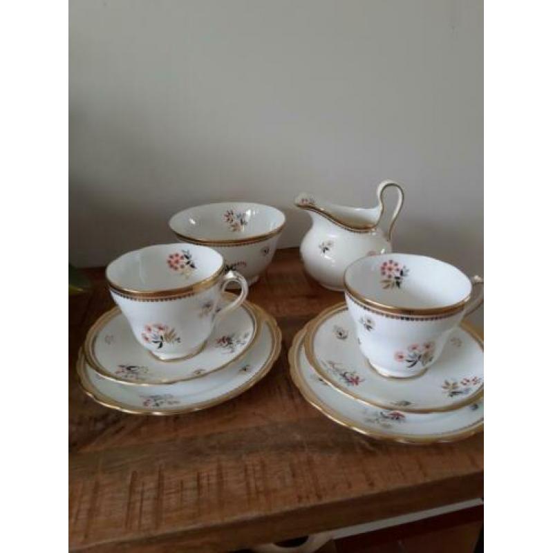 Engels vintage porselein New Chelsea Staffs Engels