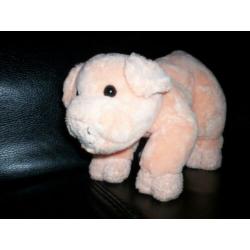 Knuffel Varken / Biggen Pig.