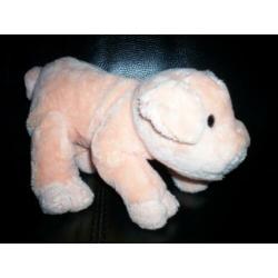 Knuffel Varken / Biggen Pig.