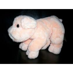 Knuffel Varken / Biggen Pig.
