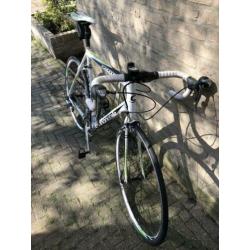 Cannondale CAAD 8
