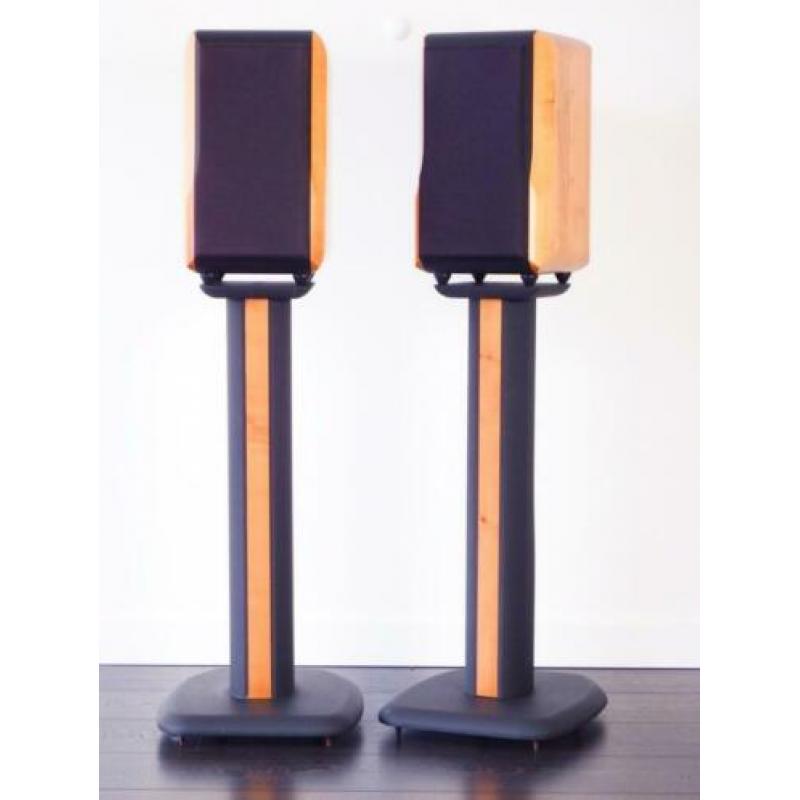 # Chario Constellation Lynx, bijzondere 2-weg bookshelves #