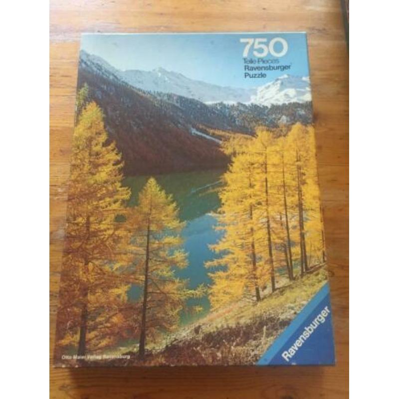 legpuzzel 225 - 750 stukken