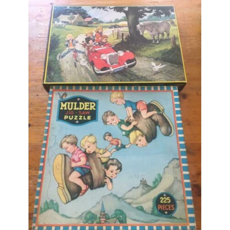 legpuzzel 225 - 750 stukken