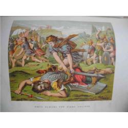 Antieke Platen Bijbel 19e eeuw OT+NT Browns Holy Illustrate