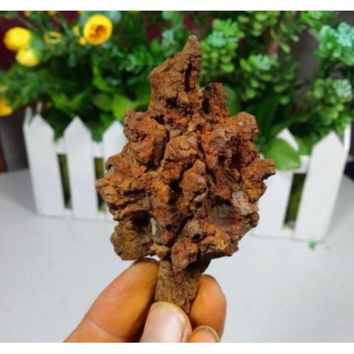 GROOT STUK COPROLITE ( gefossiliceerd Dinosauruspoep ) A2