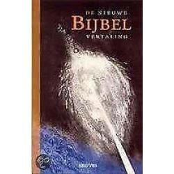 De Bijbel nieuwe vertaling 9789061738497
