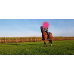 braaf recreatie paard