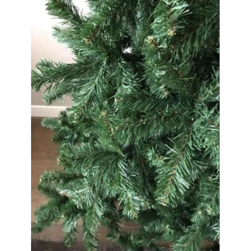 Mooie volle Triumph kerstboom 200 cm .Brandvertragend . Zgan