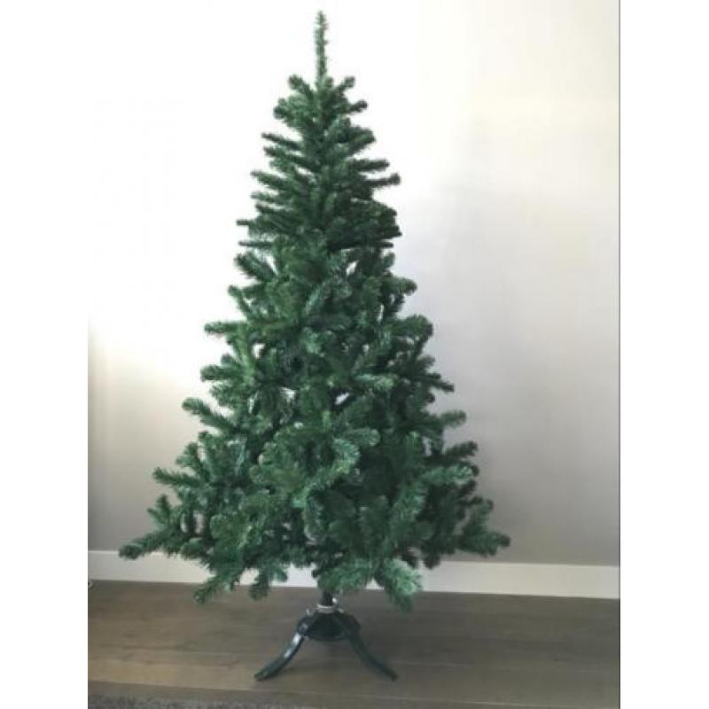 Mooie volle Triumph kerstboom 200 cm .Brandvertragend . Zgan