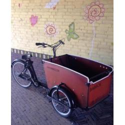 Te koop stevige tweedehands bakfiets van het merk babboe