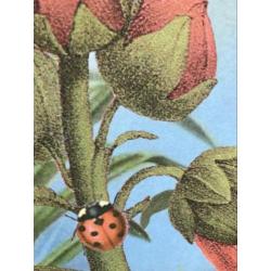 Kiss the frog behang van Eijffinger pip studio
