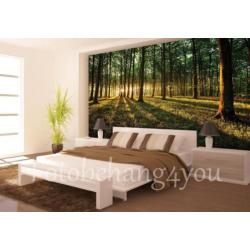 Bos fotobehang opkomende zon, Bosbehang *Fotobehang4you